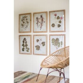 Set Of 6 Leaf Prints Under Glass 16.5" X 21.5"T