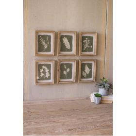 Set Of 6 Fern Prints Under Glass 8"D X 10"T Each